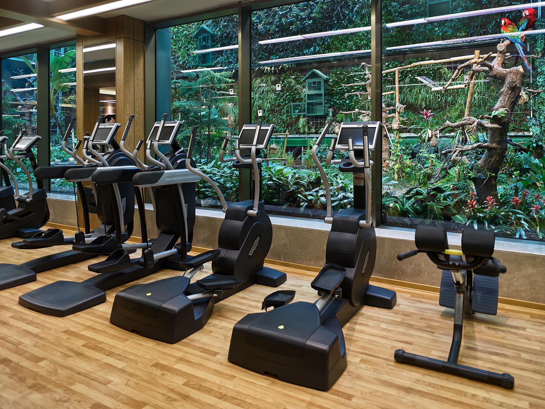 Hotel Elite World Grand Istanbul Basin Ekspres Zewnętrze zdjęcie A gym at the InterContinental Hotel, Singapore