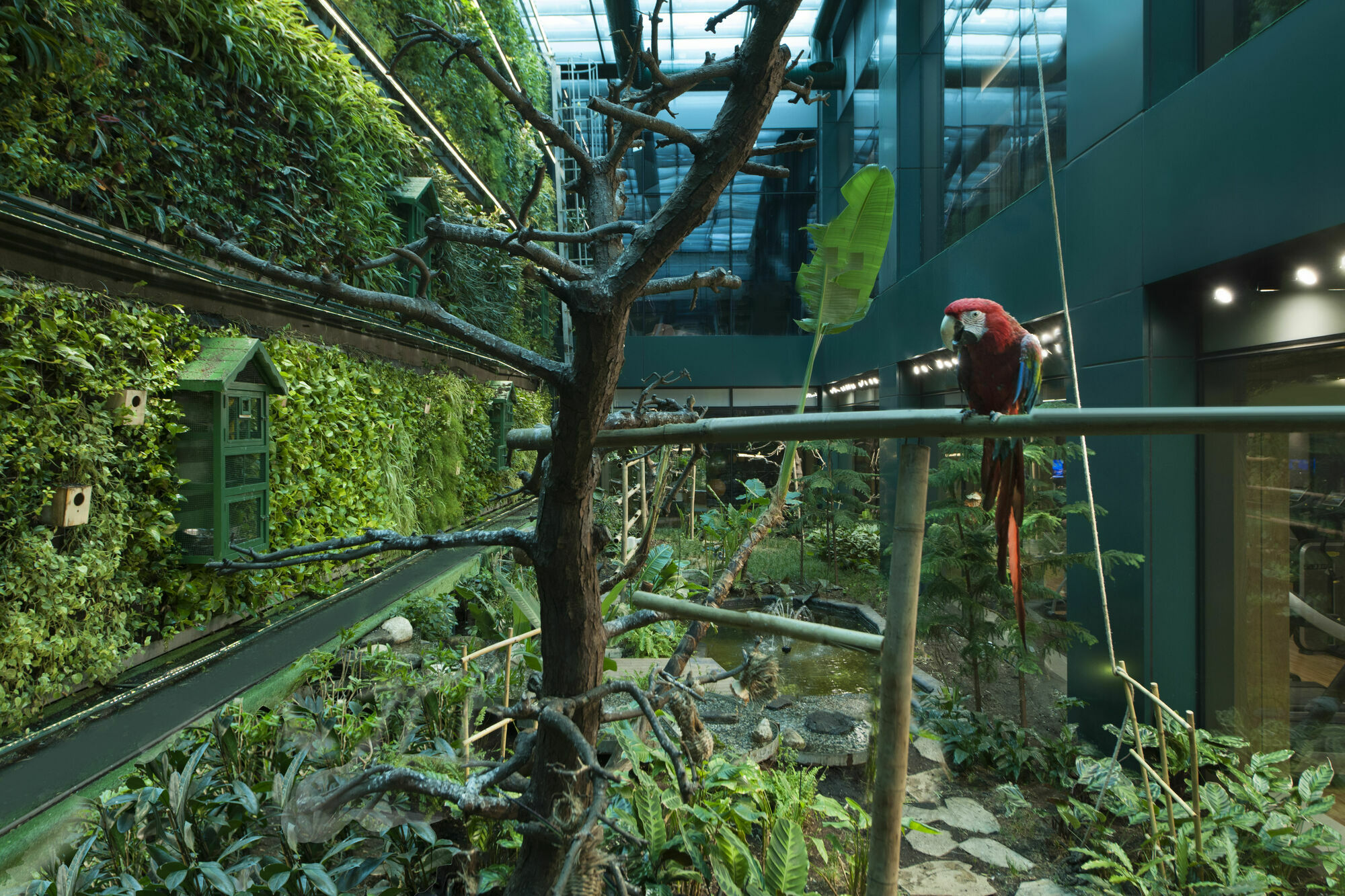 Hotel Elite World Grand Istanbul Basin Ekspres Zewnętrze zdjęcie Parrots at the Aviary
